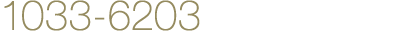 1033-6203