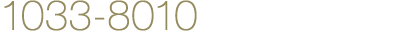 1033-8010