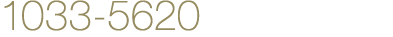 1033-5620