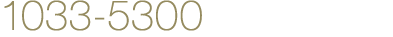 1033-5300