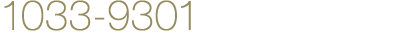 1033-9301
