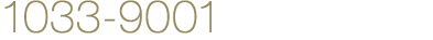 1033-9001
