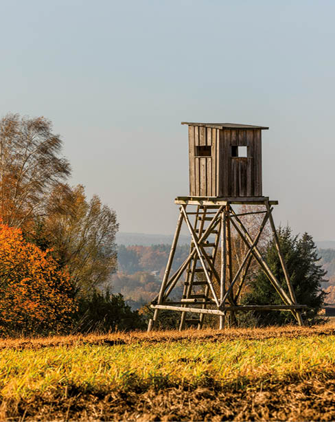 hunter cottage, Hunting tower between meadow and forest