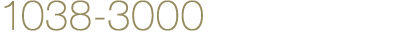 1038-3000